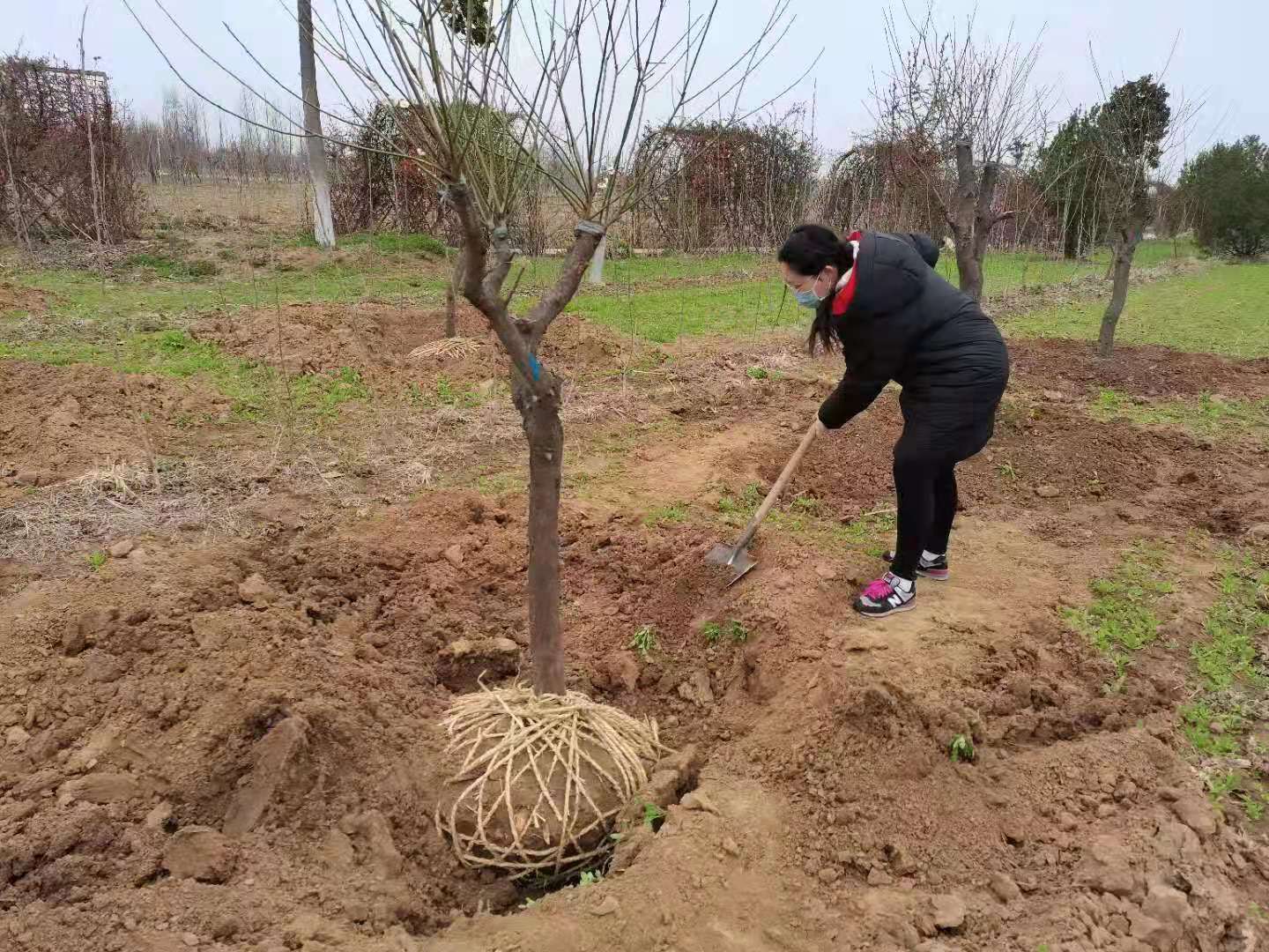 图片3.jpg