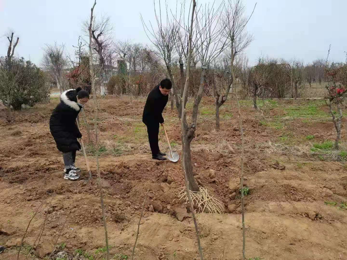 图片4.jpg