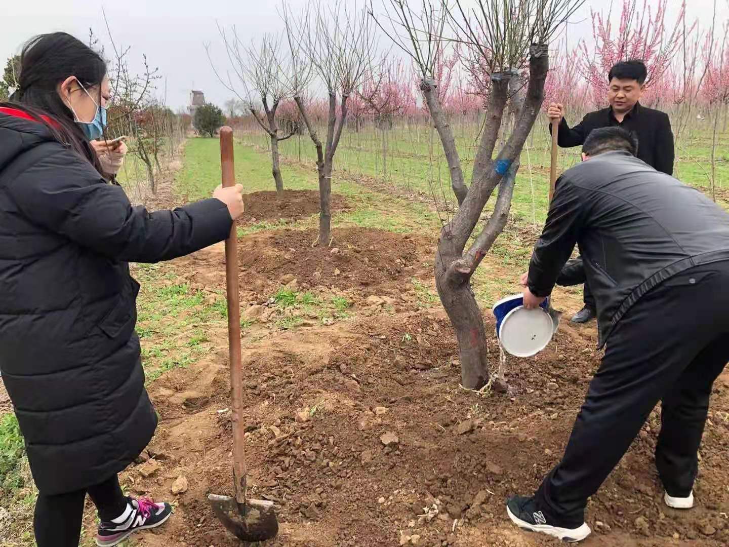 图片6.jpg